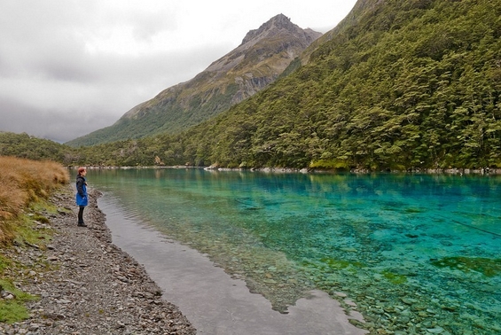 Blue Lake - New Zealand - The Clearest Lake In The World