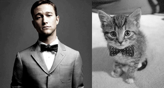 Handsome Guys And Cute Kittens