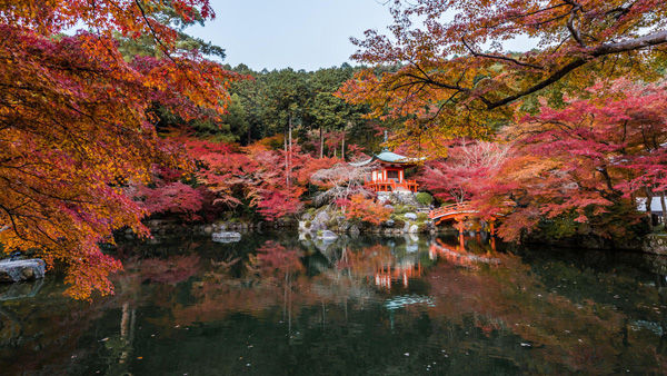 Japanese Landscape by Takk Bulkington
