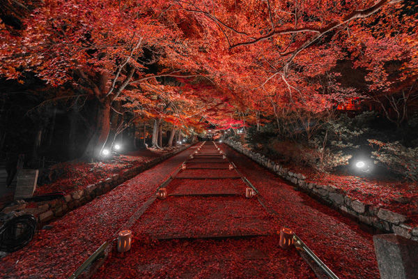 Japanese Landscape by Takk Bulkington