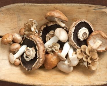 Mushrooms - Home Remedy for Cancer and Tumors